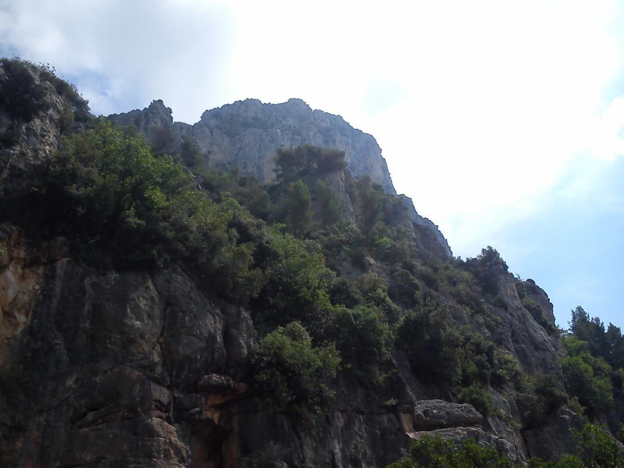 DSC_1511 - Copie